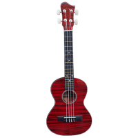 tiendas cuerdas bucaramanga Guitarra Acústica | Tienda Musical | Guitarra Electroacústica|Tienda de Guitarras|Venta de Guitarras|Guitarra Bucaramanga