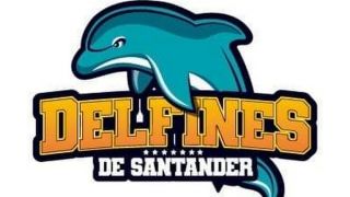 cursos de natacion para bebes en bucaramanga Club Delfines De Santander