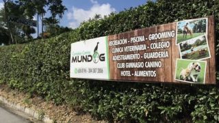 alojamientos para perros en bucaramanga Complejo canino Mundog