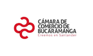 cursos en desarrollo web de bucaramanga Aula Virtual - Marketing Digital, Paginas Web Bucaramanga