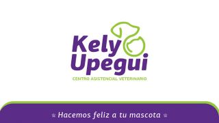 veterinario gratis bucaramanga Centro Asistencial Veterinario Kely Upegui