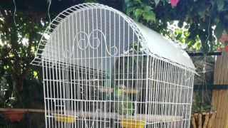 lugares de venta de aves en bucaramanga FORMALPLAST